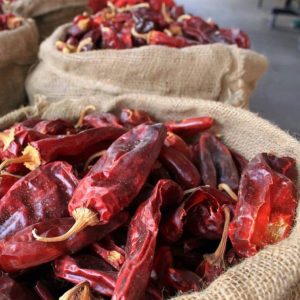 Red dried chilies in burlap sacks, representing agricultural trading and quality spice products