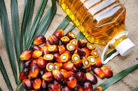 Double-fractionated palm Sterin